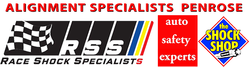 Alignment Specialist Penrose Logo